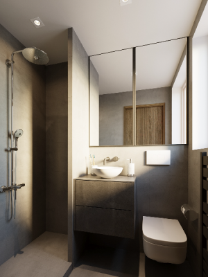 image of Industrial and Bathroom 