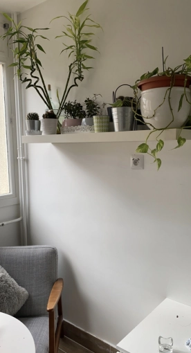 Scandinave, Appartement, Nature, Feng Shui