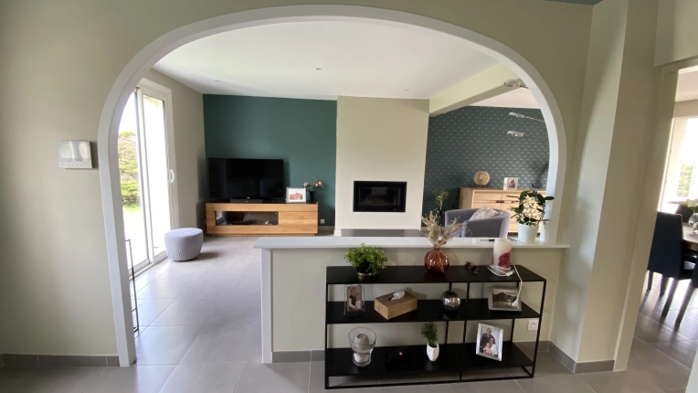 Contemporary, Living room, Consultation Visit