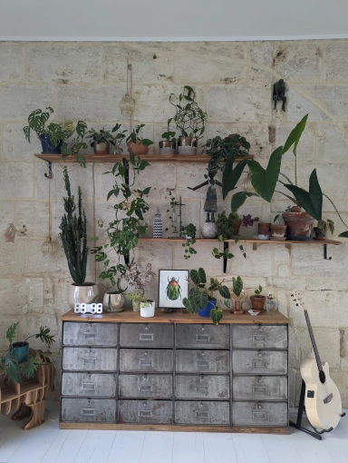 Home, Bohemian, Vintage, Nature, Feng Shui, Consultation Visit, Home Staging, Shopping list