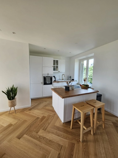 Kitchen, Nature, Consultation Visit, Plan