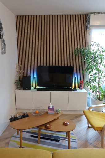 Bohemian, Minimalist, Contemporary, Scandinavian, Chic, Nature, Living room, Consultation Visit, Full Project, Creation of exclusive furniture, Shopping list, 3D ambiance, Plan