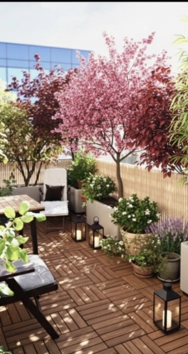 Outdoor/Garden, Nature, Consultation Visit, Shopping list, 3D ambiance, Plan