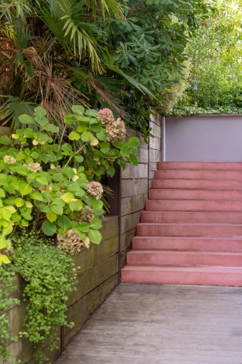 Outdoor/Garden, Nature