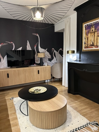 Contemporary, Chic, Living room, Full Project