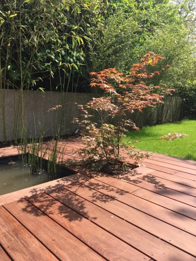 Japanese, Outdoor/Garden, Full Project