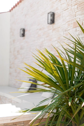 Outdoor/Garden, Full Project, Creation of exclusive furniture, 3D ambiance, Plan