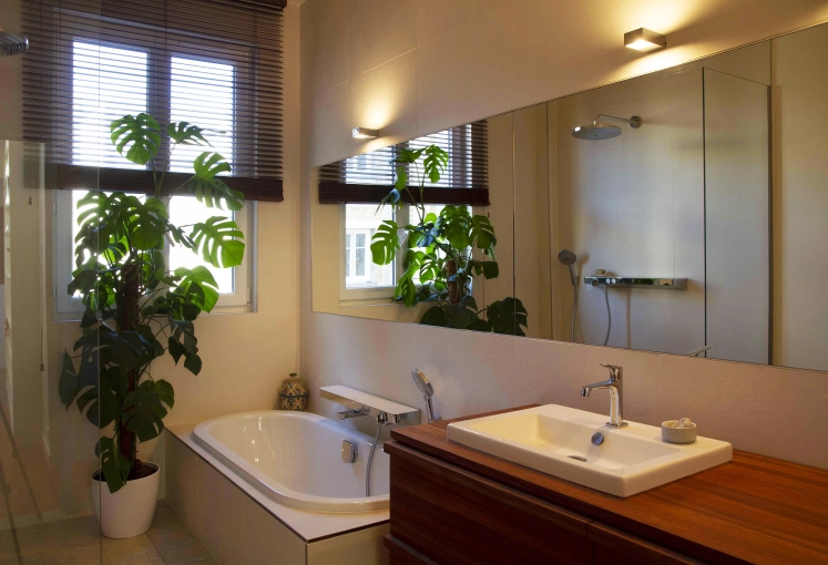 Contemporary, Flats / Apartments