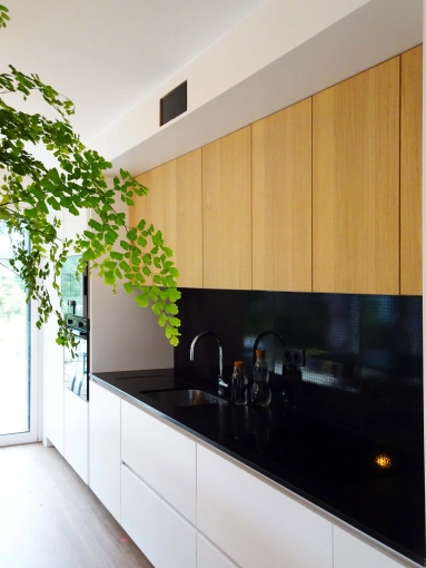 Contemporain, Cuisine, Chic, 3D d'ambiance