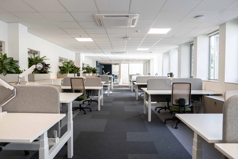 Office, Full Project, Creation of exclusive furniture, 3D ambiance, Plan