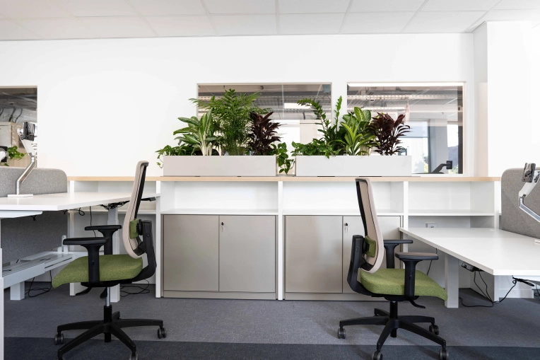 Office, Full Project, Creation of exclusive furniture, 3D ambiance, Plan