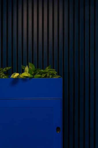 Office, Full Project, Creation of exclusive furniture, 3D ambiance, Plan