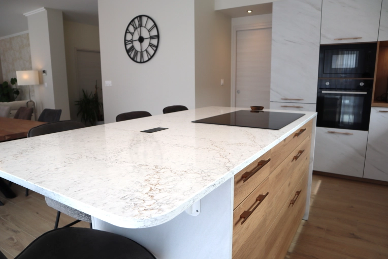 Minimaliste, Contemporain, Cuisine, Nature, Visite conseil, Projet complet