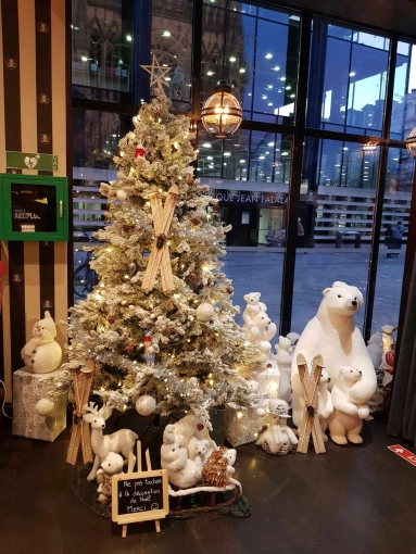 Scandinave, Commerce / magasin, Nature, Visite conseil, Coach shopping, Liste shopping
