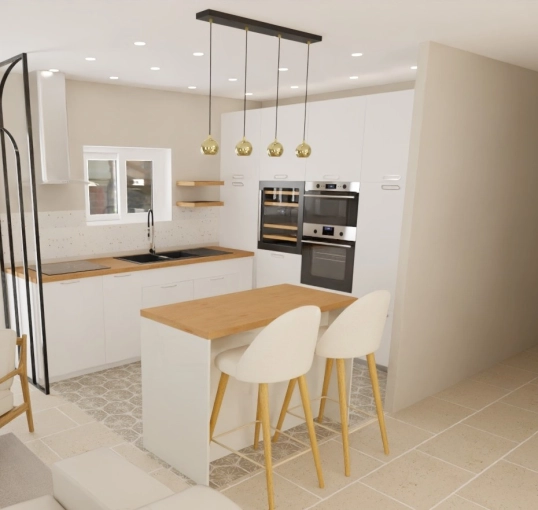 Minimalist, Contemporary, Kitchen, Remote Coaching, 3D ambiance, Plan